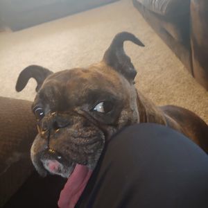 Meet your Posher, Jim